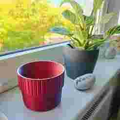 Cachepot "The inside grooved Couching collector cachepot"