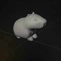Capibara multicolor / Deciration
