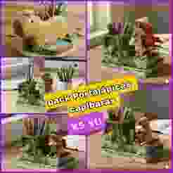 Capibaras Pencil Holder Pack 🐹✨ (x5 STL models)