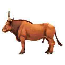 Cartoon Bull STL