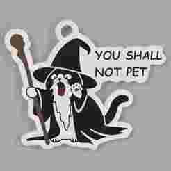 Cat Gandalf keyring