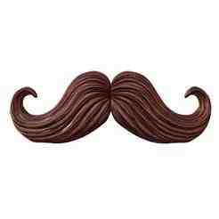 Classic Handlebar Mustache