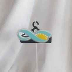 CONICET logo pin