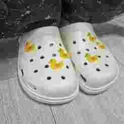 Croc Duck
