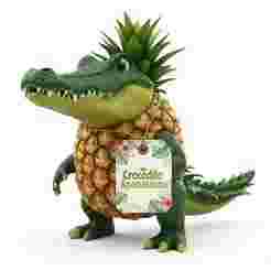 Crocodillo Ananasinno