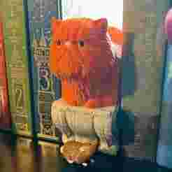 Crookshanks and Scabbers Book Nook Bookshelf Decor Inspired by Harry Potter