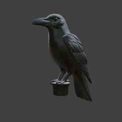 Crow Cane Handle