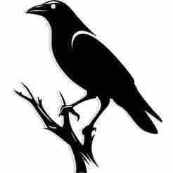 crow perched on a dead tree branch 3 - 2D/3D Wall Art STL+SVG For CNC Router, Plasma, Waterjet, Laser & 3D Printer