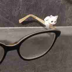 Cute Cat Glasses Accessory - 3D Printable