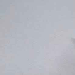 Cute Flexi Zombie Hamster Toy ~ Articulated & Print-in-Place (Almonimal Zombie Hamster)