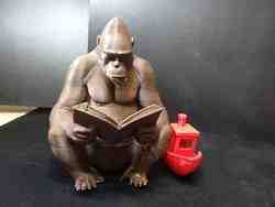 Cute Rocket reading a book.