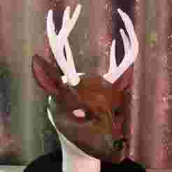 deer mask