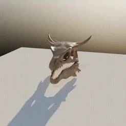 Dragon Skull 3D Model