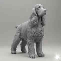 English Cocker Spaniel in 3D model style