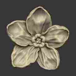 Forget me not petal flower floral design