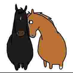 Funny cartoon horses