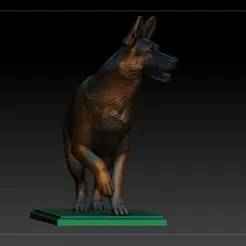 GERMAN SHEPHERD DOG V1
