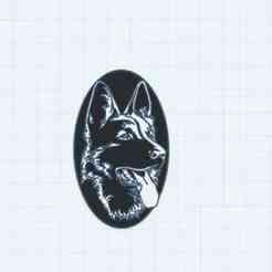 German Shepherd Dog