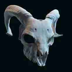goat skull mask adapted to fit a human face
