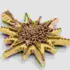 Gold Star Pendant – 3D Printable Model