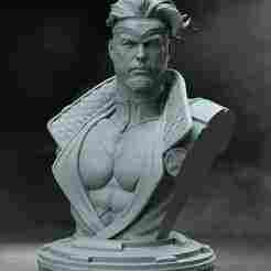 HAVOK BUST