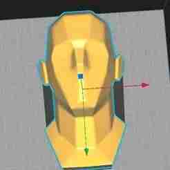head