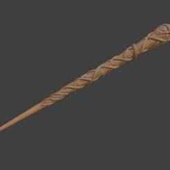 Hermione's Inspired Wand