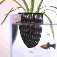 HiveEGGv1 - Fish Cave (Aquarium Shelter Decor)
