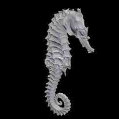 HORSE Sea Horse FILE FBX 3MF STL OBJ 3D PRINTING