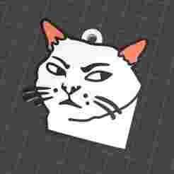 Judging Cat Meme Keychain 😼 - Funny & Adorable 3D Print Model