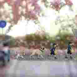 kindergarten children v1