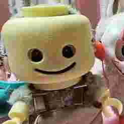 Lego Labubu Costume
