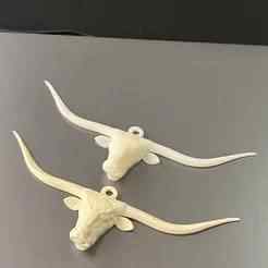 Long Horn
