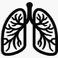lungs 2 - 2D/3D Wall Art STL+SVG For CNC Router, Plasma, Waterjet, Laser & 3D Printer