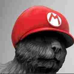 MARIO BROS CAT HAT