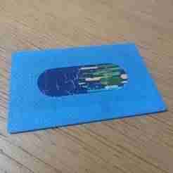METRO CARD SLEEVE