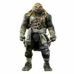 Miguel angel, Ninja Turtles
