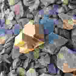 Minecraft Chicken
