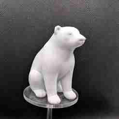 Minimalist polar bear
