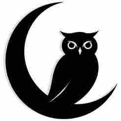 owl resting inside a crescent moon 2 - 2D/3D Wall Art STL+SVG For CNC Router, Plasma, Waterjet, Laser & 3D Printer
