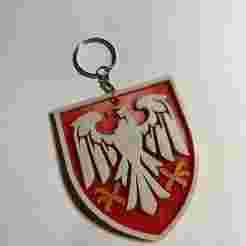 Patch of the 82nd Separate Air Assault Brigade.