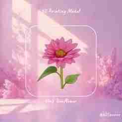 Pink Sunflower