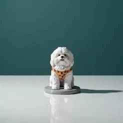 Poodle dog figure with clothes