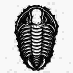 Prehistoric Aquatic Fossil Wall Art Home Decor