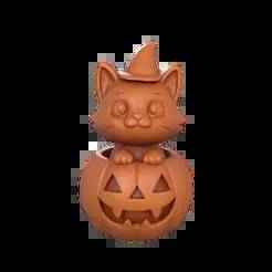 pumpkin with cat