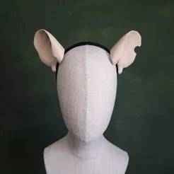 Rat Ears - Round