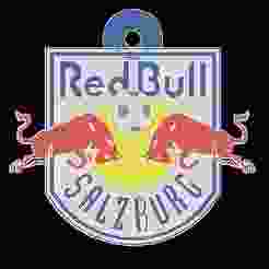 Red Bull Salzburg keychain
