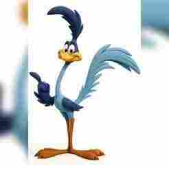 Road Runner Bird