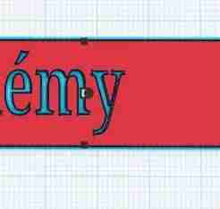 rémy key ring