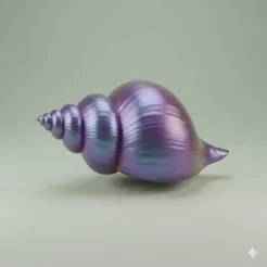 sea shell decoration candles candies candies chocolates